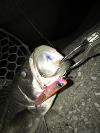 バチパターン終盤