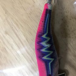 夕まずめエギング10戦8勝