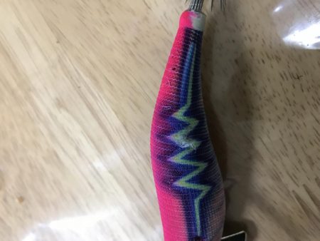 夕まずめエギング10戦8勝