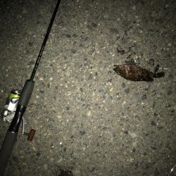 ちょっとだけリベンジ？