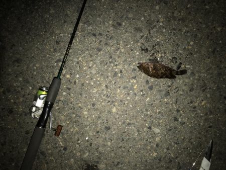 ちょっとだけリベンジ？