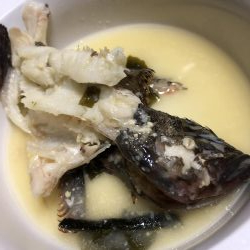 根魚とアジを求めて