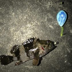 なんとか台風前に