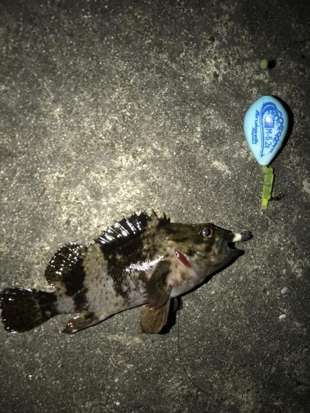 なんとか台風前に