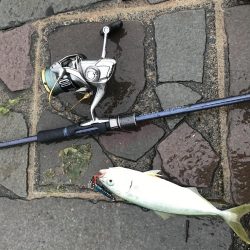 表、奥浜名湖満喫！