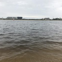 見えてる魚は釣れ無い