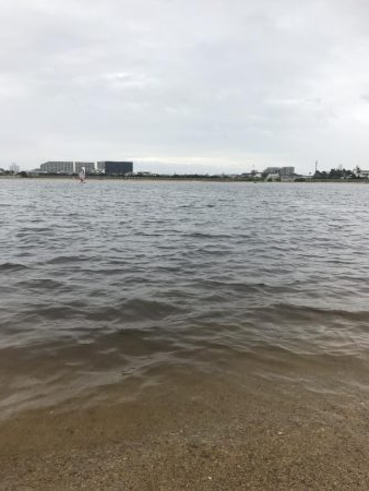 見えてる魚は釣れ無い