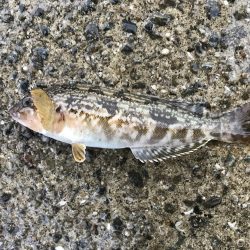 出勤前に。 part 7