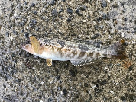 出勤前に。 part 7