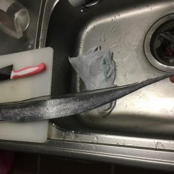 ショアジギング