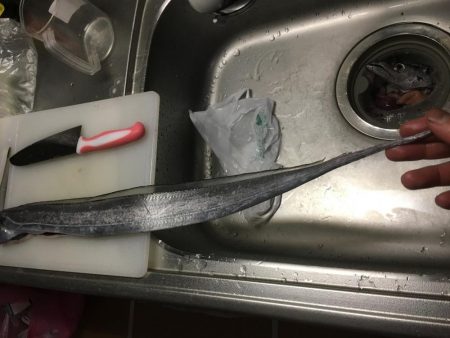 ショアジギング