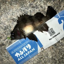 会社帰りプチメバル