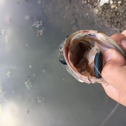 ゲーリーヤマモト最強⁉︎