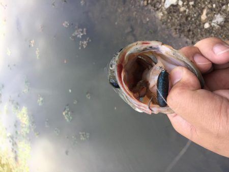 ゲーリーヤマモト最強⁉︎