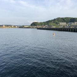 サビキVSアジング