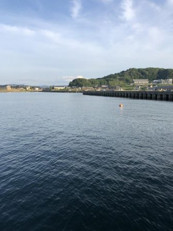 サビキVSアジング