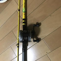 今年はタコが不調(T-T)