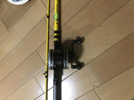 今年はタコが不調(T-T)