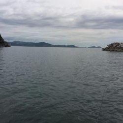 コウちゃんならおります