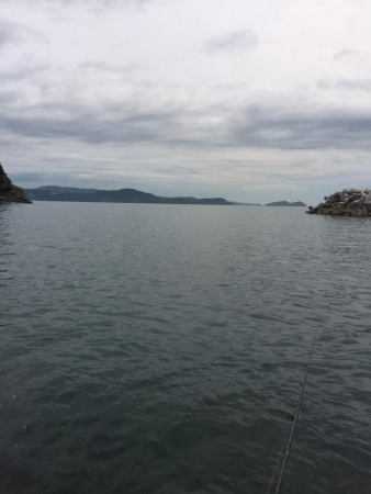 コウちゃんならおります