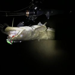 梅雨入りは活性up