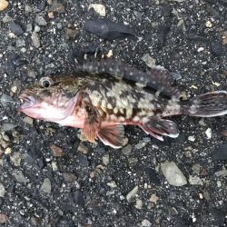 出勤前に。part 9