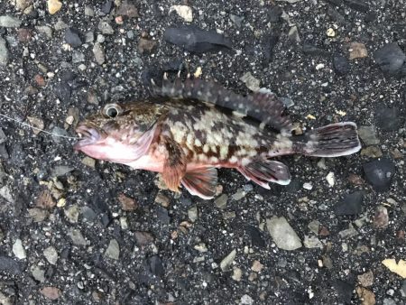 出勤前に。part 9