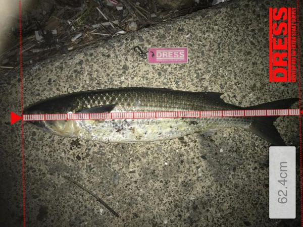 ラストバチパターン