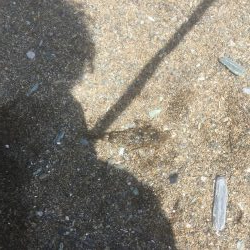 大神子海岸でキス