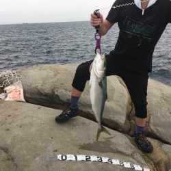 梅雨の合間の青いヤツ