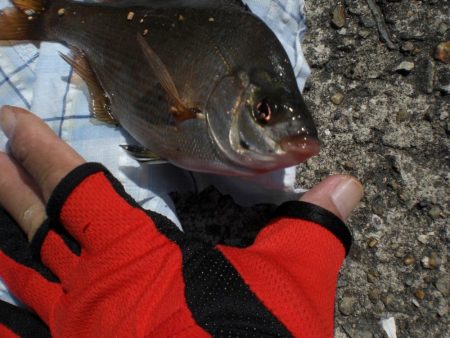 魚の活性が良い