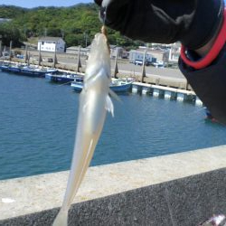 淡路島から明石港まで
