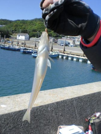 淡路島から明石港まで