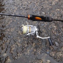 初めての和歌山北港魚釣り公園