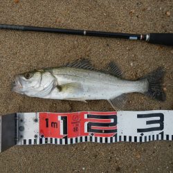 もう少しサイズが…