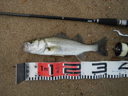 もう少しサイズが…