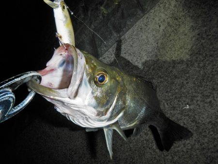 オートリリース