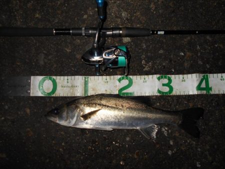 うにょうにょとJHリグを使い分けて。