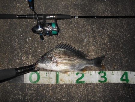 バチのサイズが小さくて苦戦…。