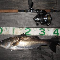 昨日より渋い…。