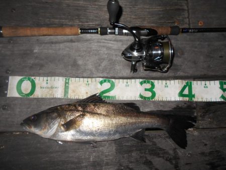 昨日より渋い…。