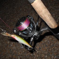 X-RAPで1ヒットのみ…。