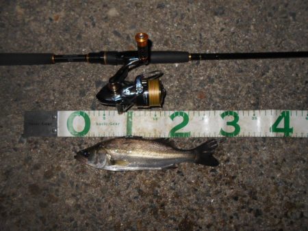 イレギュラーな動きに反応有り。