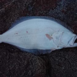 仕事終わりに、ふらっと・・・！