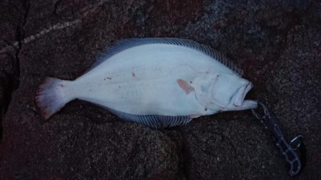 仕事終わりに、ふらっと・・・！