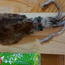 やっと初あおり