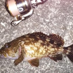 鳴門でライトゲーム