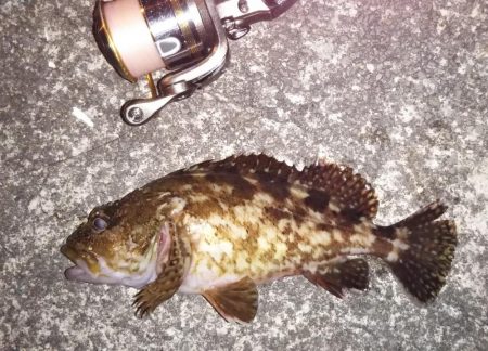 鳴門でライトゲーム