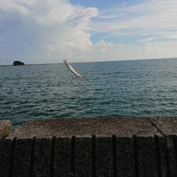 サビキでは釣れる