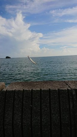 サビキでは釣れる